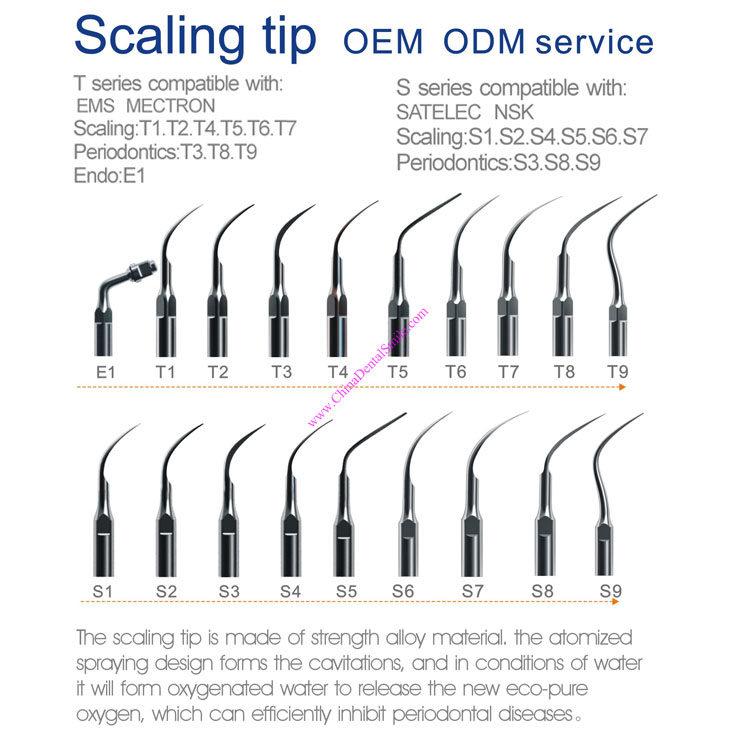 Dental Scaler Tips